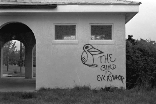 The_Bird_Is_Everywhere2